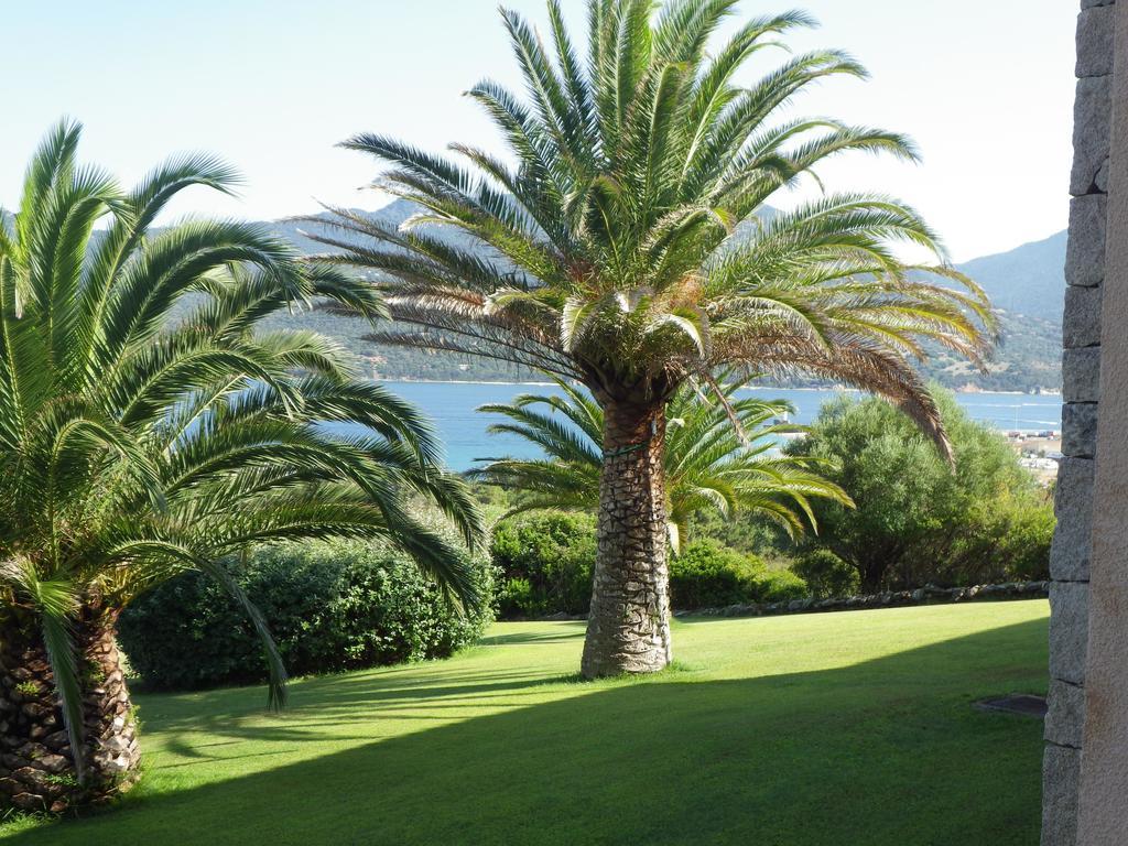 Marina Di Fiori Propriano (Corsica) Exterior foto