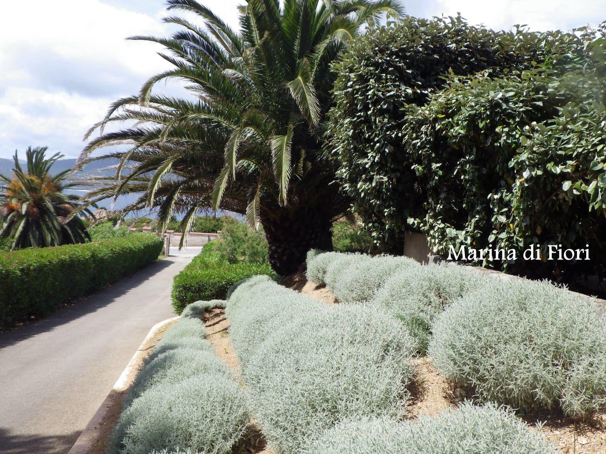 Marina Di Fiori Propriano (Corsica) Exterior foto